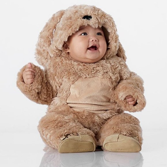 NEW Pottery Barn Kids BABY DOG HALLOWEEN COSTUME 0-6 3 MONTHS *brown puppy - Picture 5 of 15